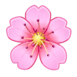 Sakura Flowers