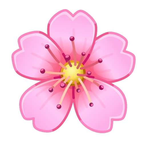 Sakura Flowers